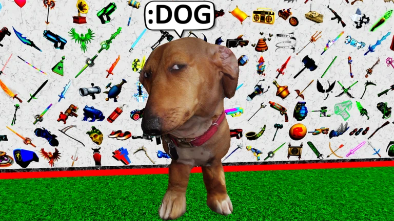 Free Admin💥
